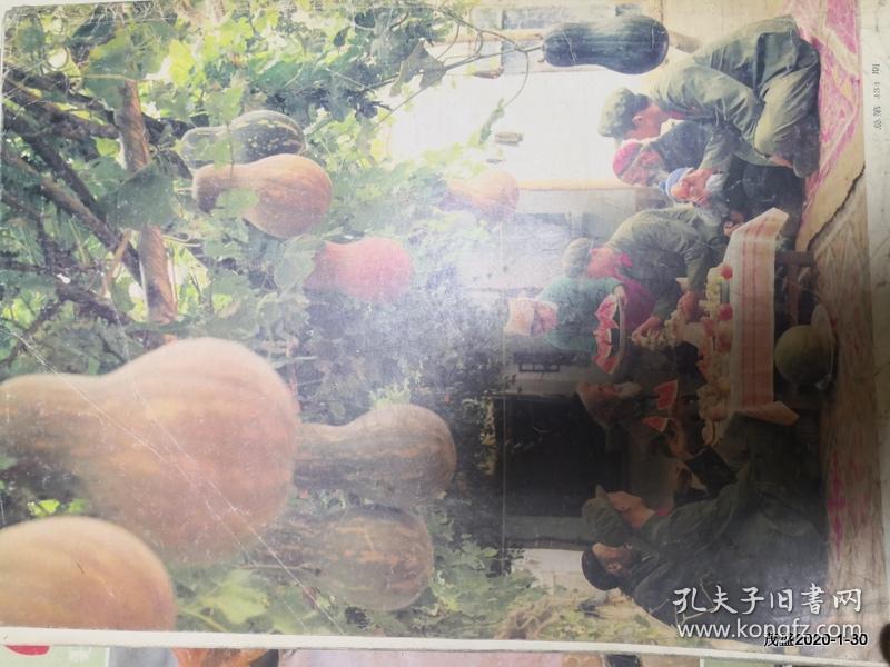 解放军画报 1983年第8期