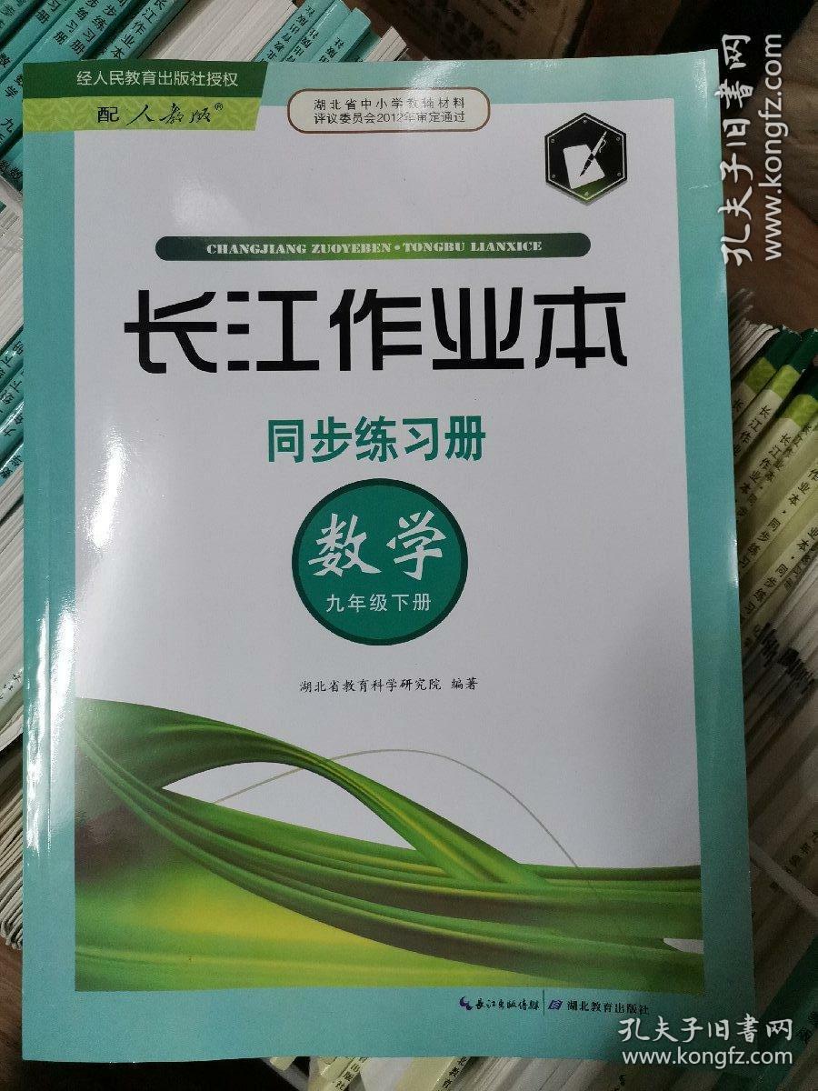 长江作业本数学九年级下册同步练习册配人教版