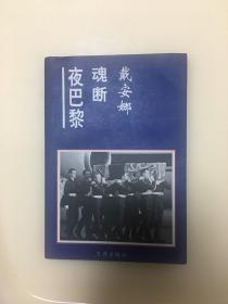 戴安娜魂断夜巴黎