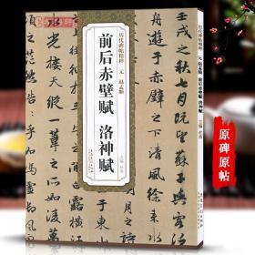 元赵孟頫前后赤壁赋洛神赋历代碑帖杜浩赵体赵孟俯行书毛笔字帖书法成人临摹古帖简体旁注原碑原贴书籍安徽