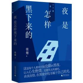 （精装带护封，全新未拆封）夜是怎样黑下来的（鲁迅文学奖、茅盾文学新人奖得主张楚小说集）