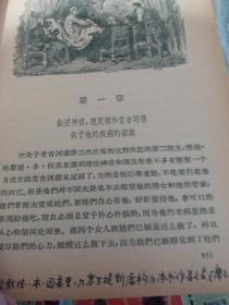 堂吉坷得