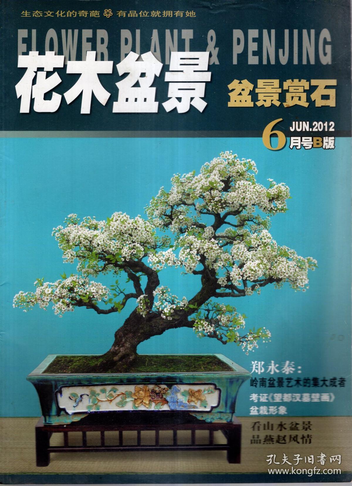 花木盆景.盆景赏石2012年第6、10、12期全B版.总第388、396、400期.3册合售