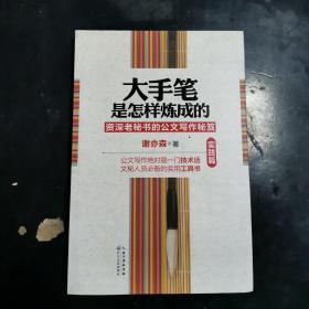 大手笔是怎样炼成的（实践篇）：资深老秘书的写作秘笈