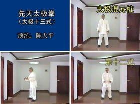 陈太平 先天太极拳 教学VCD1牒