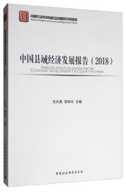 中国县域经济发展报告（2018）