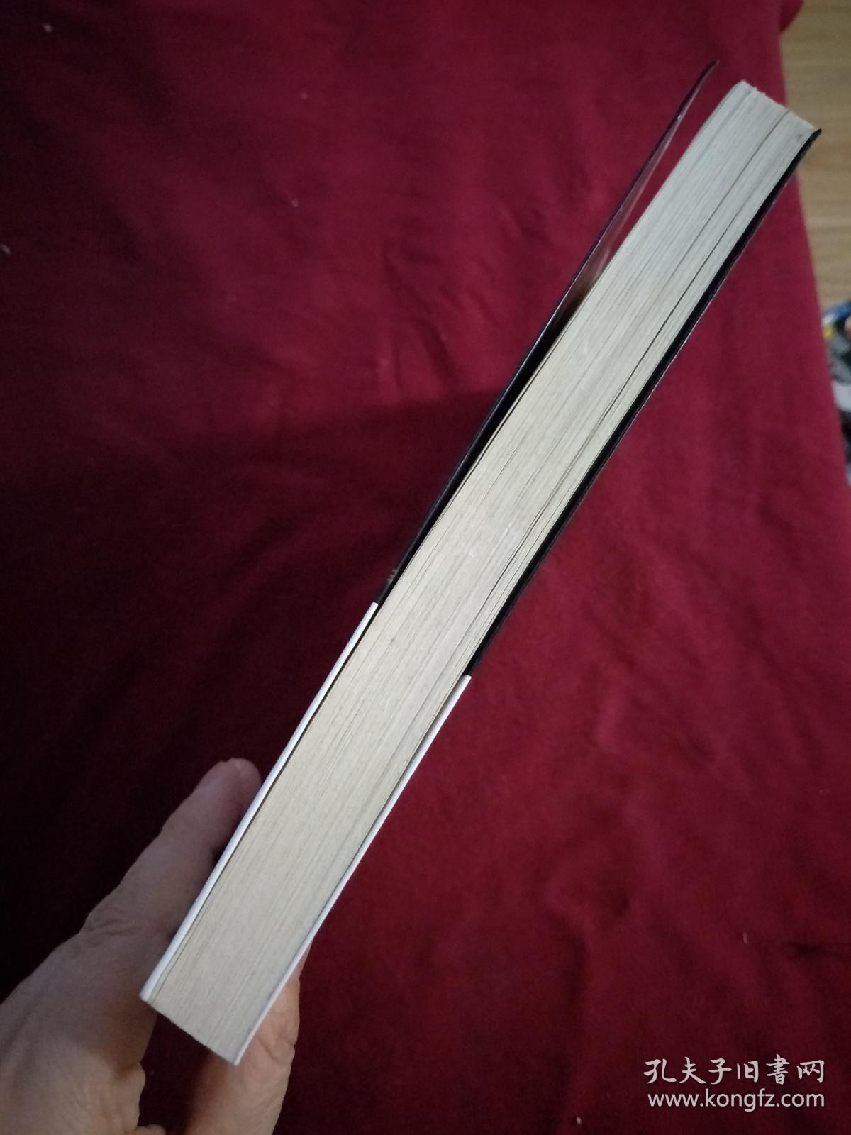 长篇推理小说 单恋