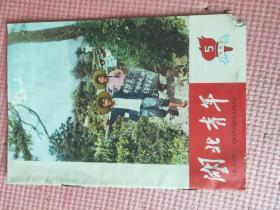 湖北青年 1965.5【封面：志在高山（照片）；封三-红旗颂（歌曲 巩志伟词 李焕之曲）；封底-喜看后生成长（油画 邓德林作）；随县高庙公社九大队何元兴-学了“毛著”有劲头（对口词）；毛主席在长征路上；鄂城县岳陂大队姜昭文-演杏姑 学杏姑；永清-李菊云的转变；陈直刚-包教保学的故事；关于组织全省团员、青年学习万文南英雄事迹的通知；在烈火中永生——记述为抢救集体财产而英勇献身牺牲的万文南同志】