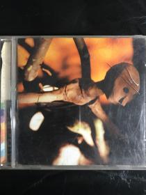 优秀独立歌手joseph arthur，realworld出品，原版cd