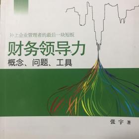 财务领导力：概念、问题、工具