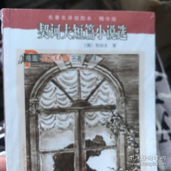 契诃夫短篇小说选：名著名译插图本·精华版