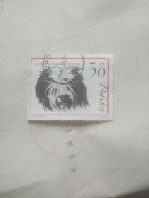 外国邮票 可爱狗狗图案.