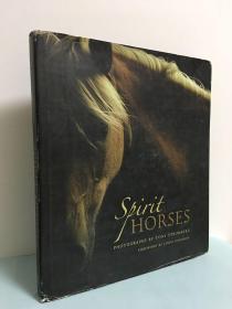 SPIRIT HORSES