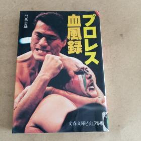 プロレス血风录 (文春文库―ビジュアル版，日文 原版）