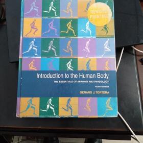 Introduction to the Human Body: The Essentials of Anatomy and Physiology