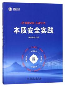 本质安全实践 专著 Intrinsic safety 国家电网公司[编] eng ben zhi an quan shi jian