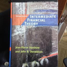 intermediate financial theory