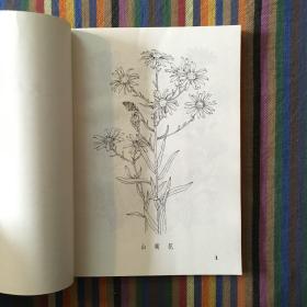 花的变化