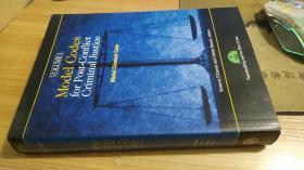 Model Codes for Post-Conflict Criminal Justice: Volume I: Model Criminal Code 英文原版书 附盘 冲突后刑事司法示范法：第一卷：示范刑事法典