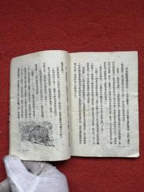 红鼻子的姑娘