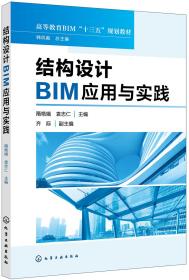 结构设计BIM应用与实践(隋艳娥)