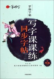 写字课课练同步字帖（二年级上册配合最新部编版语文教材使用RJ）/一笔好字