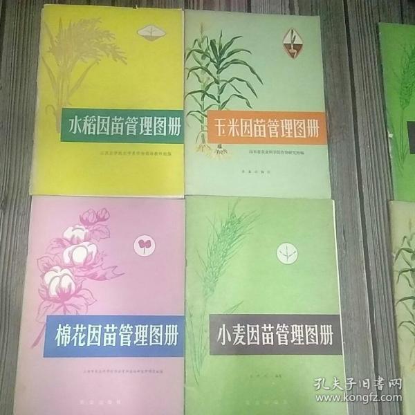 水稻 玉米 小麦 棉花因苗管理图册