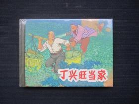 丁兴旺当家
