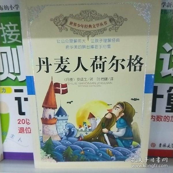 世界少年经典文学丛书：丹麦人荷尔格