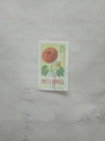 外国的邮票 一盆花图案