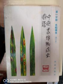 中国农作物病虫图谱（第一分册）：水稻病虫【南车库】199