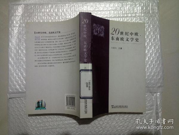 20世纪中欧、东南欧文学史