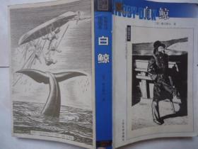 名著名译插图本-白鲸