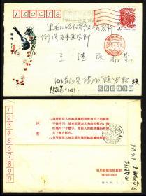 1993-1 癸酉年鸡2-1  湖南长沙1994实寄美术封