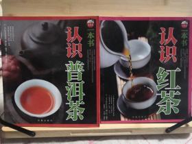 一本书系列之认识普洱茶，认识红茶，搞定鉴茶，学茶艺，学功夫茶，名茶地理（一套六本）
