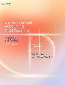 现货 Global Financial Accounting and Reporting: Principles and Analysis  英文原版 皮特·沃顿 全球财务报告分析 报告与分析：原理与分析 国际财务报表分析 世界会计史：财务报告与公共政策