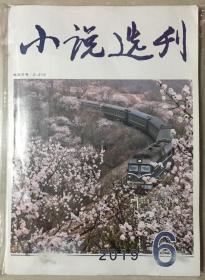 小说选刊 2019年 第6期 邮发代号：2-210