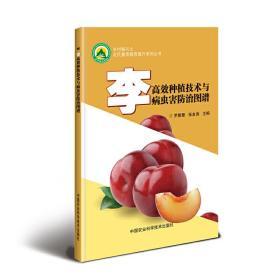 全新正版现货速发 李高效种植技术与病虫害防治图谱 定价26元 9787511641069