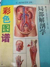 局部解剖学 彩色图谱