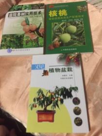 庭院果树实用技术，核桃安全优质高效生产配套技术，观果植物盆栽，共三册