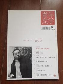 青年文学2007年全套