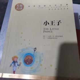 小王子 名家名译世界经典文学名著 原汁原味读原著