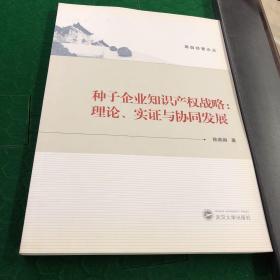 种子企业知识产权战略：理论、实证与协同发展