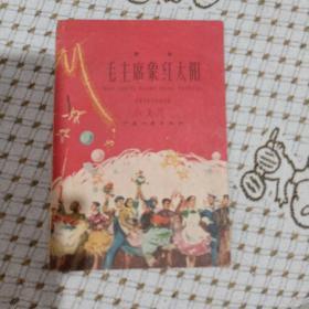 毛主席象红太阳