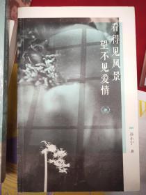 看得见风景 望不见爱情
