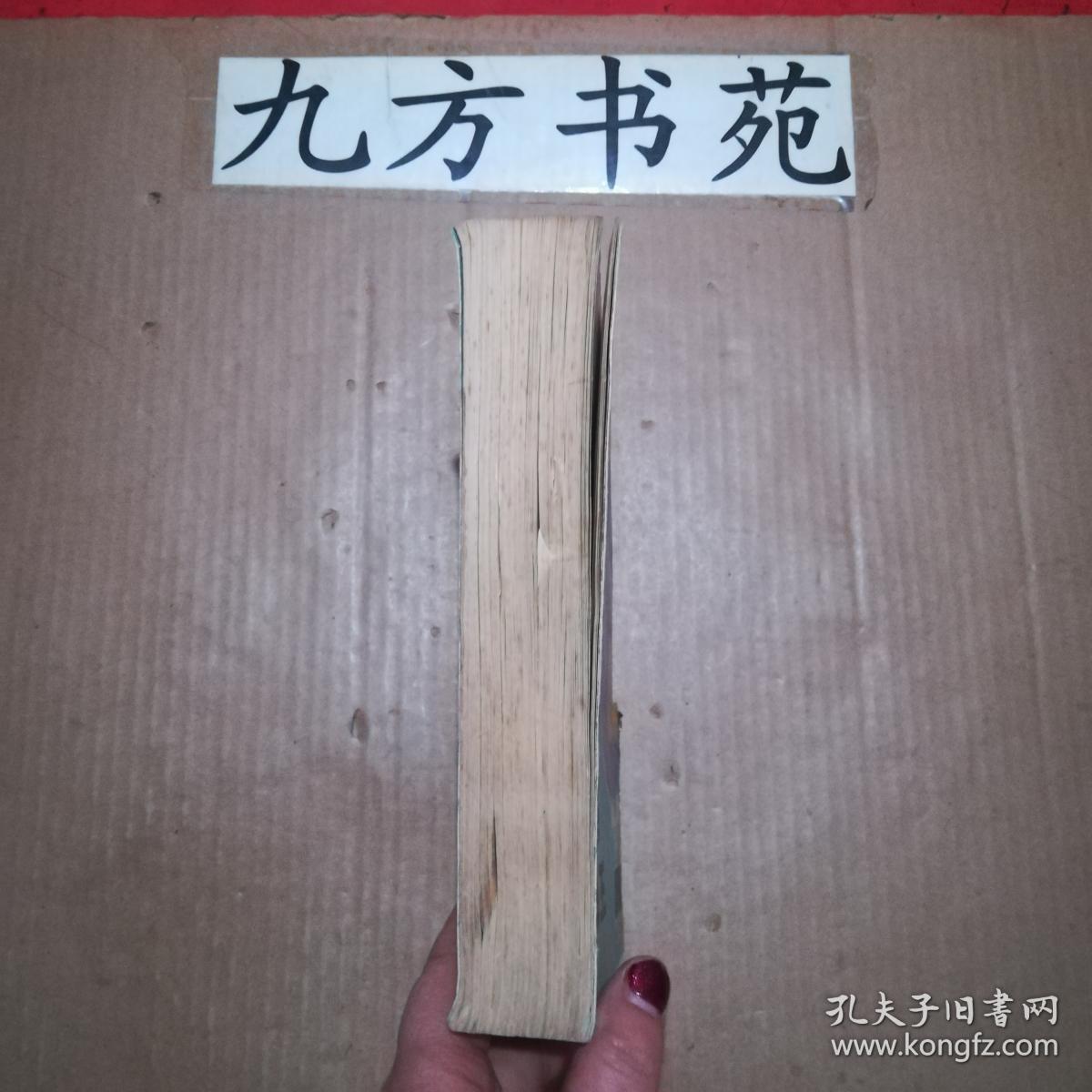 王爷的末日《穹庐传》第一部