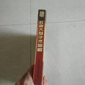 肛管大肠手术图解