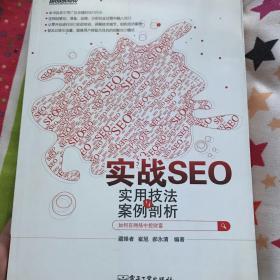 实战SEO：实用技法与案例剖析