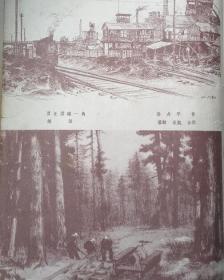 1957年上海新文艺出版社《萌芽》刊李庆云（广东湛江吴川三中）蔚桦（云南边防军）徐蕃秀（南昌北沥农业社）温俊权（鞍山市工联）曹格（整理，复旦大学）高庆才（铁道部第三设计院）石毅（江西永新中学）唐铁海（原名柴之英，宁波鄞县人）兰巨生（北京农业大学）犁青（北京俄语学院）梁国雄（广州第十二中学）剑羽（内蒙古文联）李加建（自贡文联）黄祥生（上海华丰印刷铸字厂）汤廷诰（上海格致中学）晓声（山东广饶大众报社）