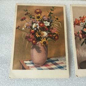 50年代，老美术明信片------《插花》！（非常漂亮！德意志民主共和国奥贝尔劳西兹·中国新华书店  出版发行）